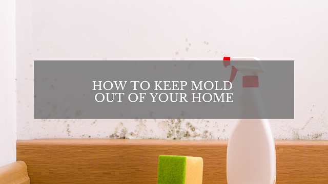 HOW TO KEEP MOLD OUT OF THE HOME